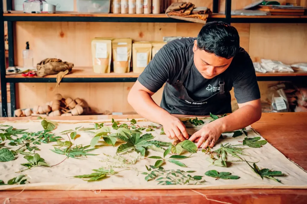 Artisan preparing leafs for natural ecoprinting